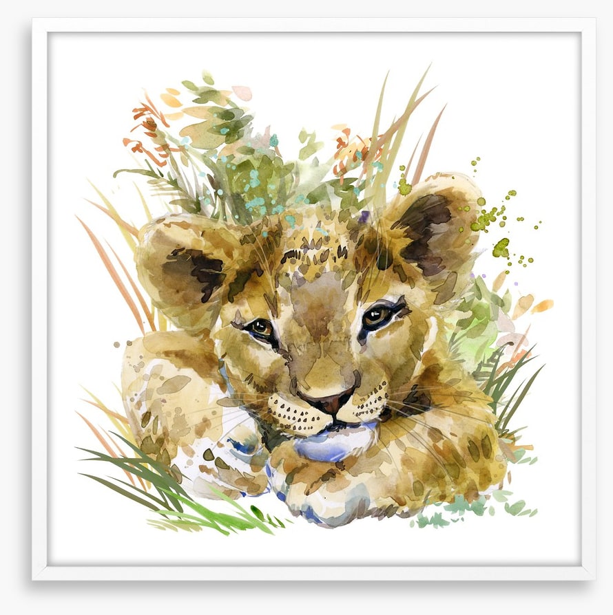 Lion cub in the grass