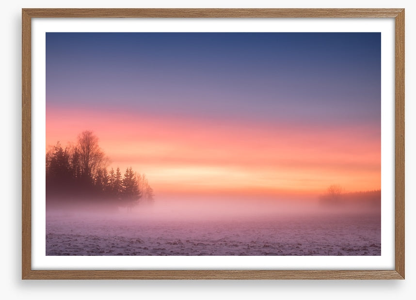 Pink mist morning