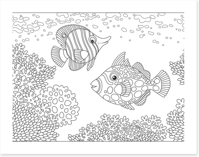 Colour me coral fish