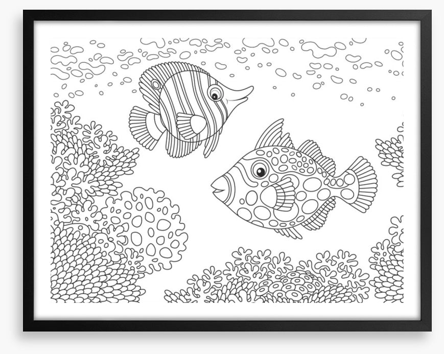 Colour me coral fish