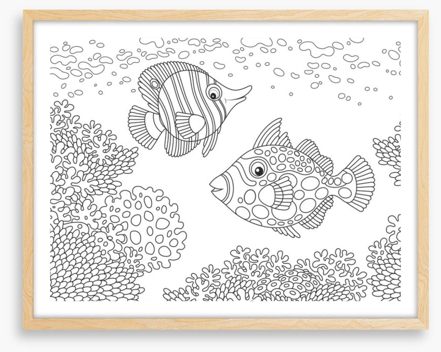 Colour me coral fish