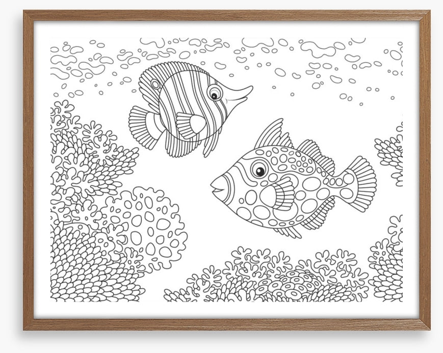 Colour me coral fish