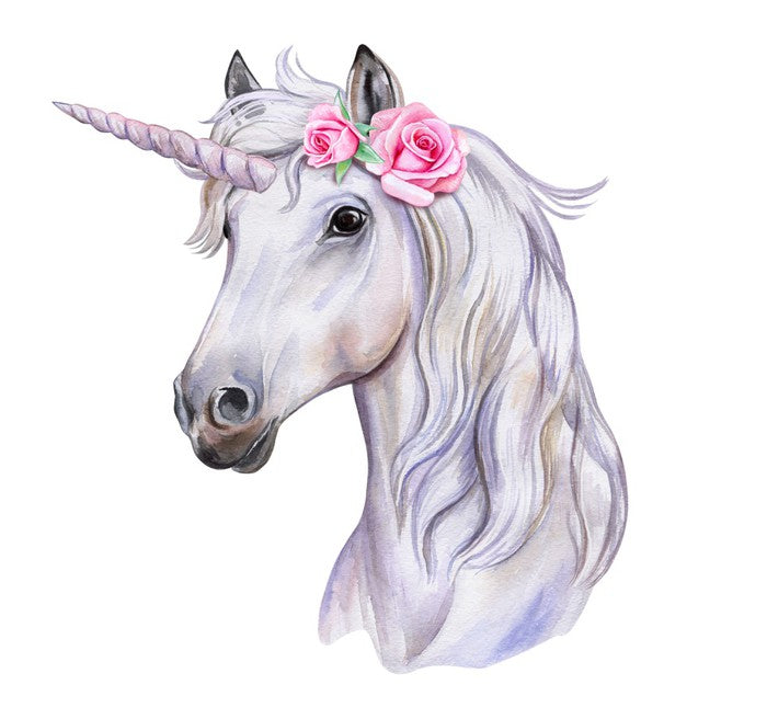 The beautiful unicorn
