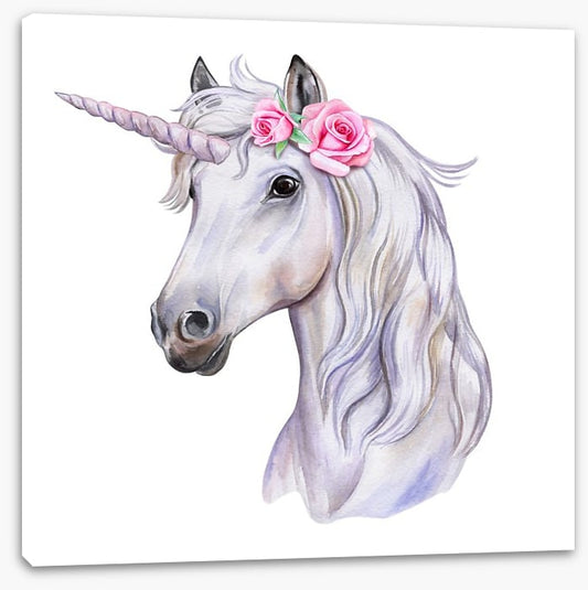 The beautiful unicorn