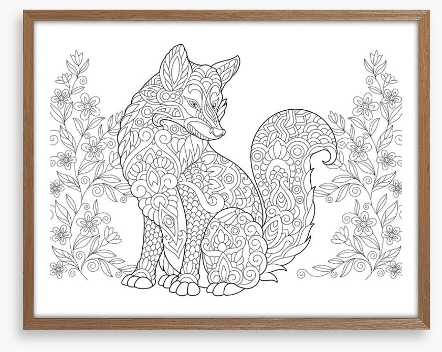 Colour me fox