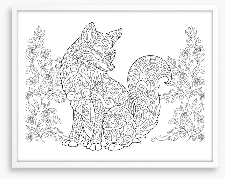 Colour me fox