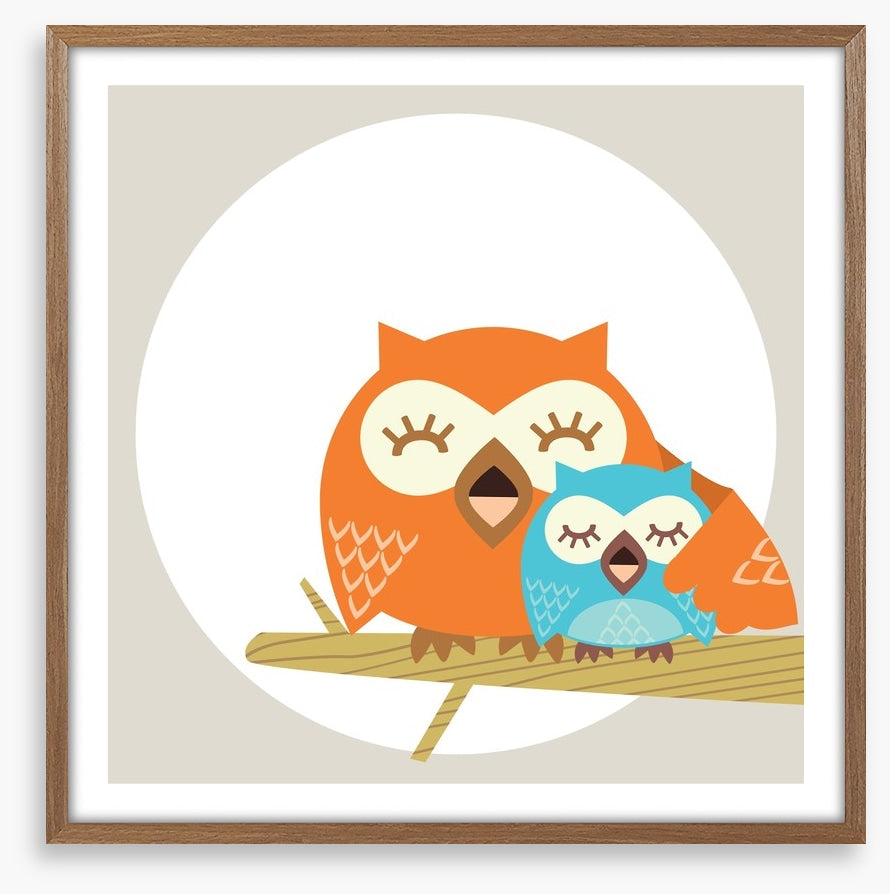 Owls