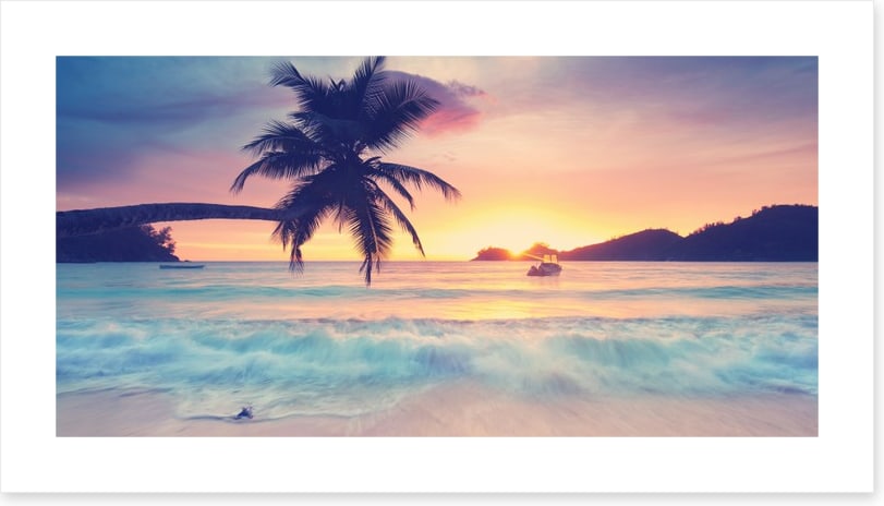 Paradise silhouettes