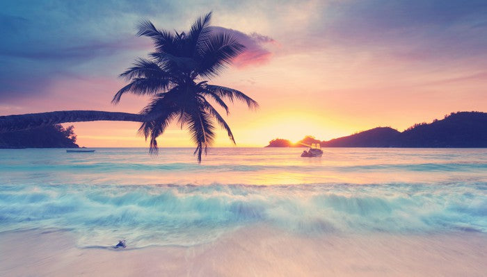 Paradise silhouettes