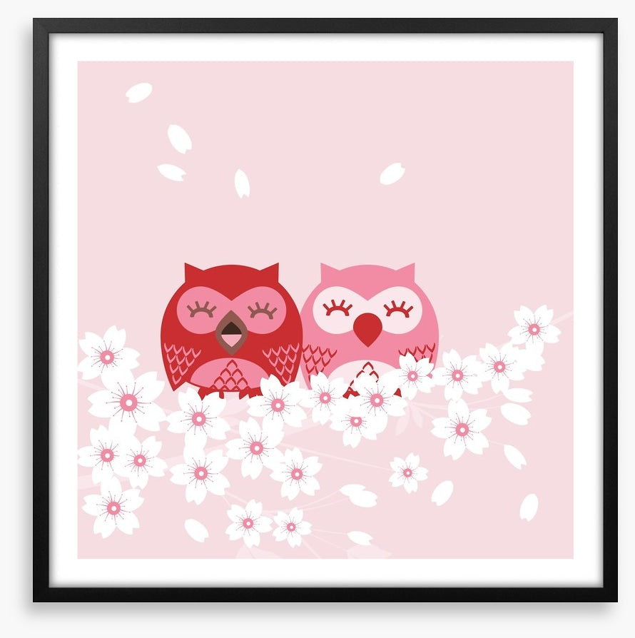 Pink owls
