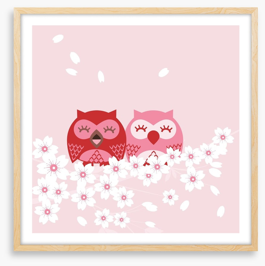 Pink owls