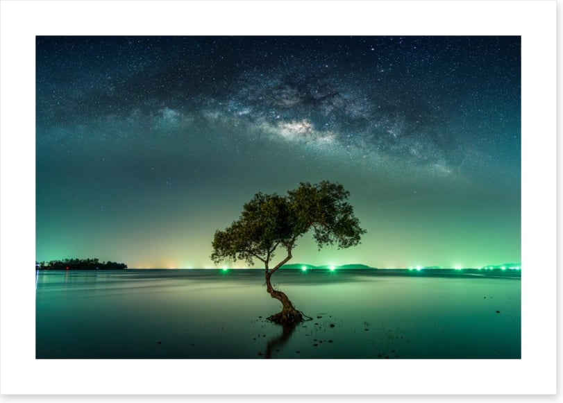 Milky Way mangrove