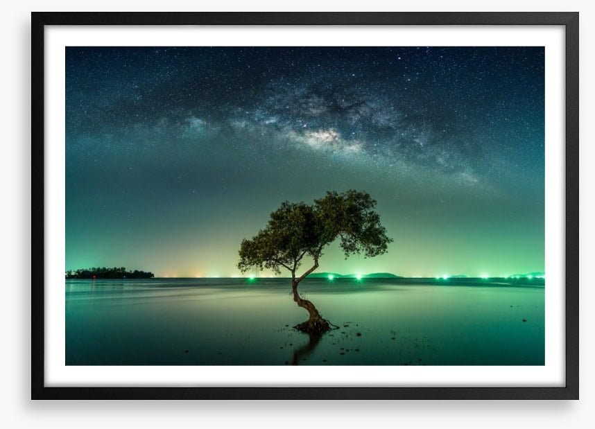 Milky Way mangrove