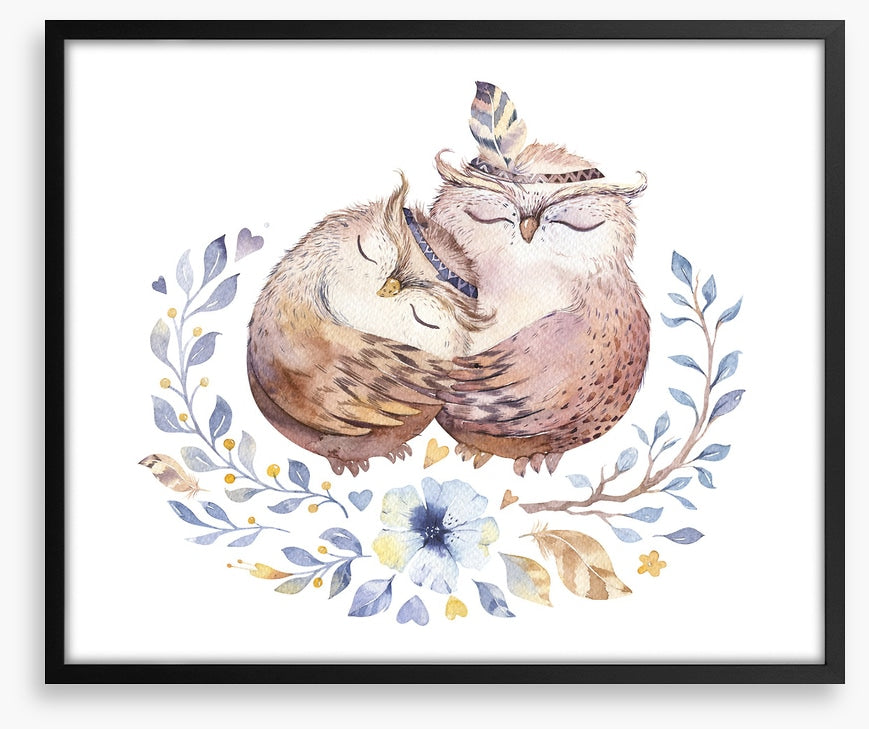 Owls