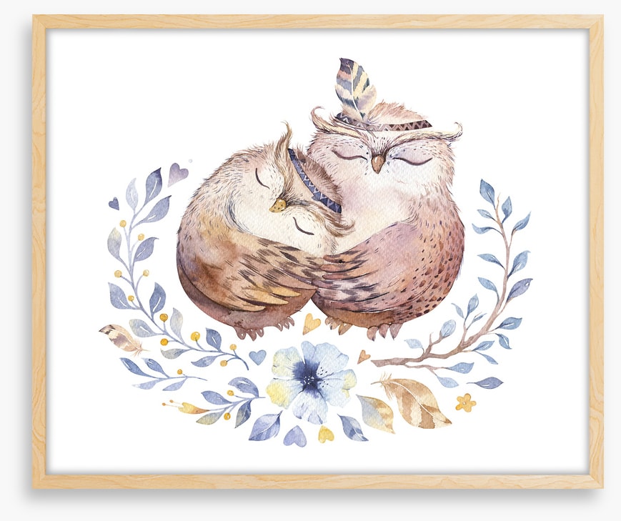 Owls