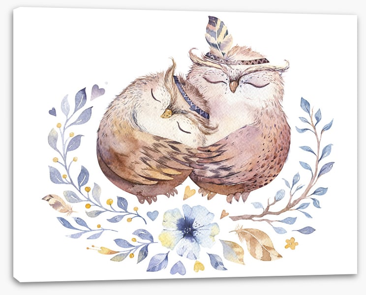 Owls