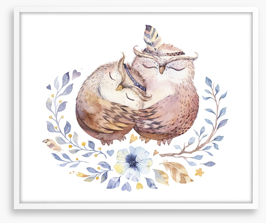 Owls