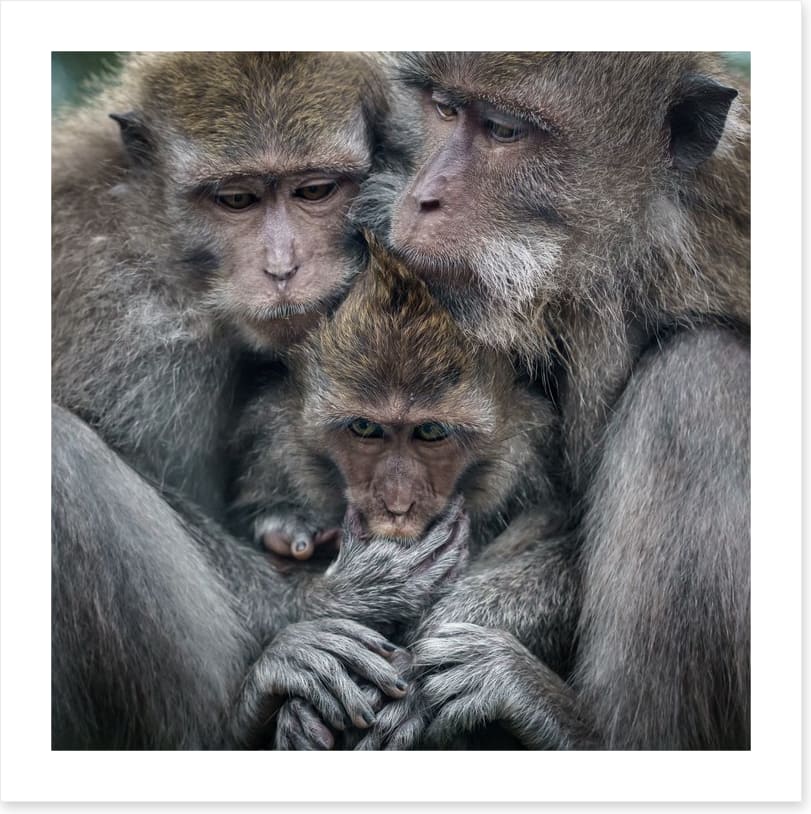 Family hug