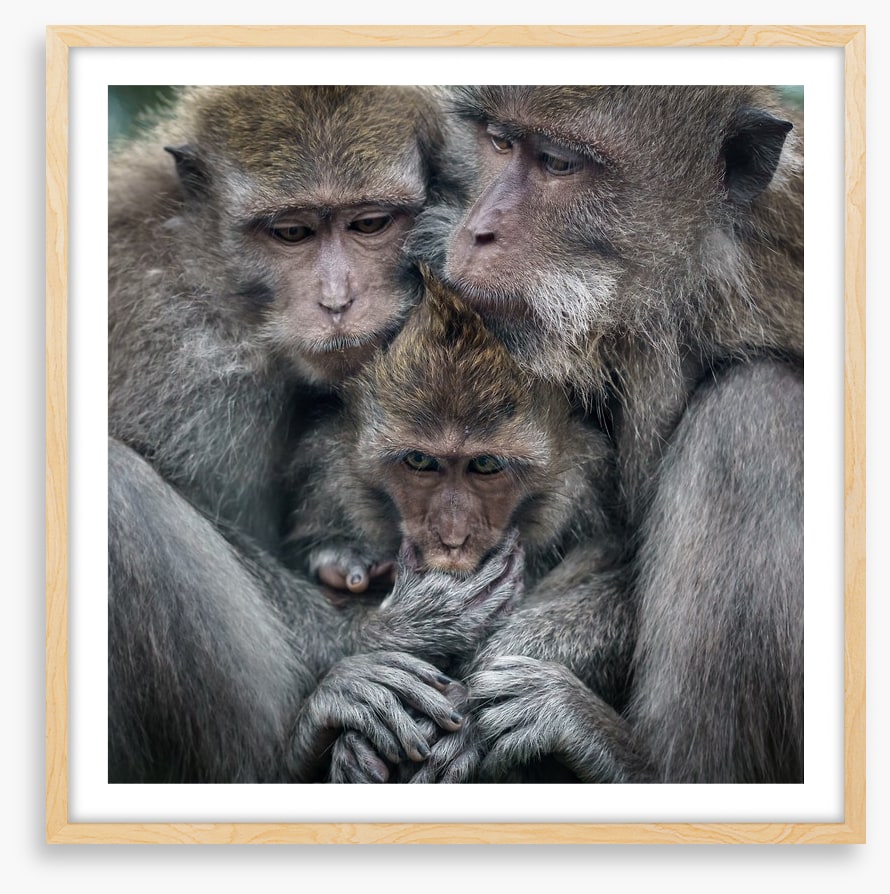 Family hug