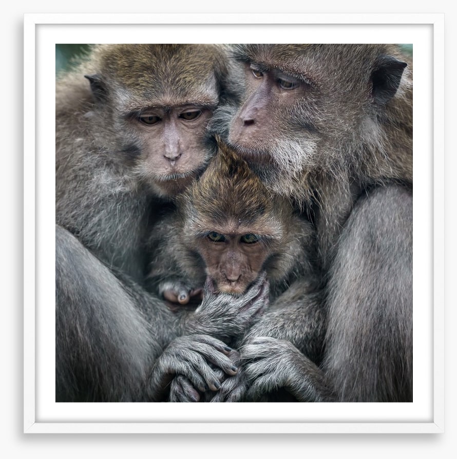 Family hug