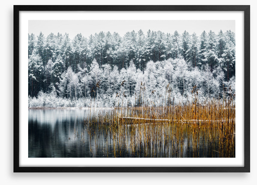 Frosty forest lake