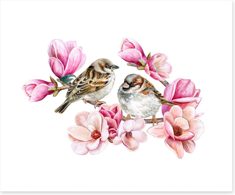 Sparrows in the magnolia