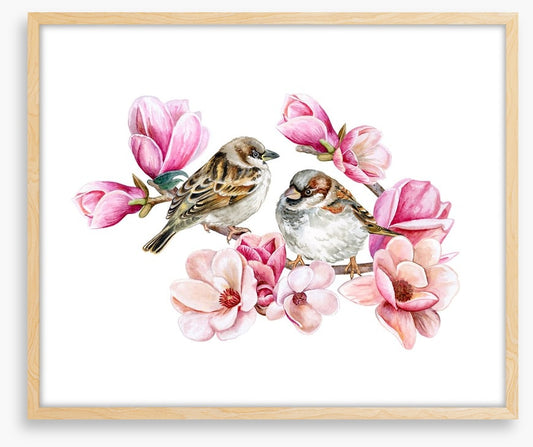 Sparrows in the magnolia