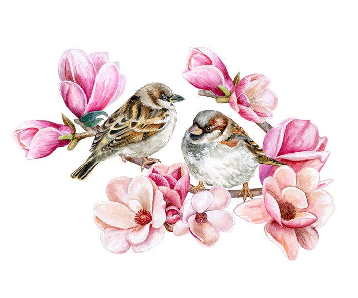 Sparrows in the magnolia