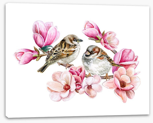 Sparrows in the magnolia