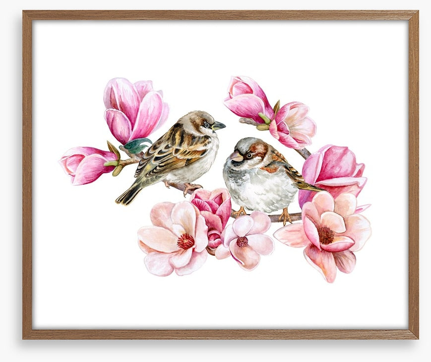 Sparrows in the magnolia