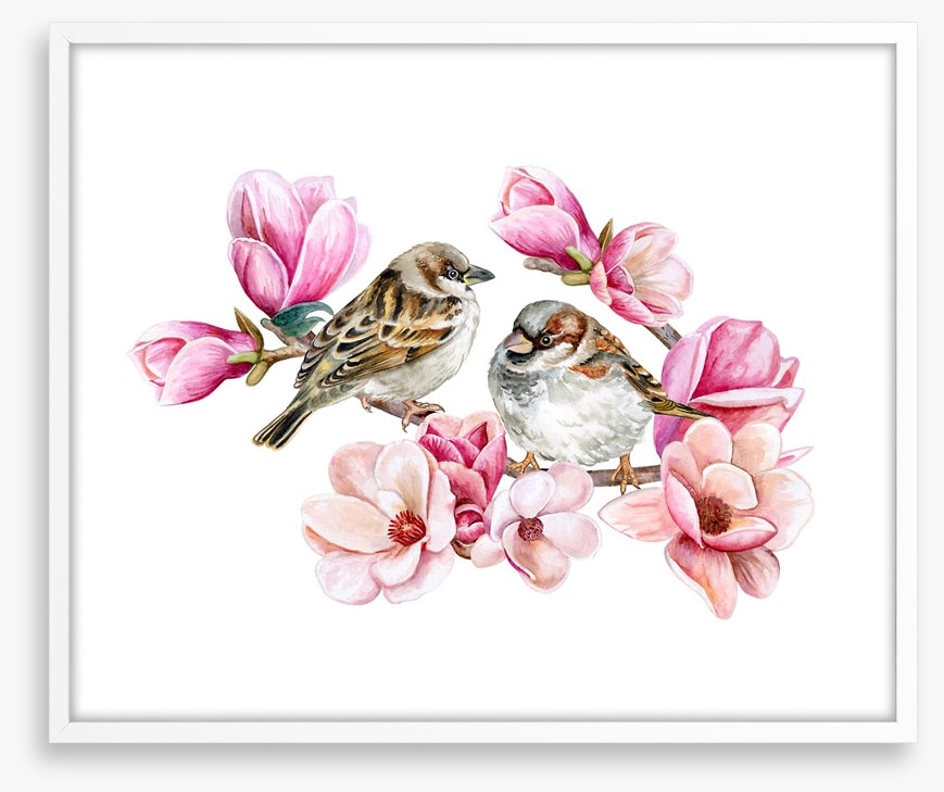 Sparrows in the magnolia