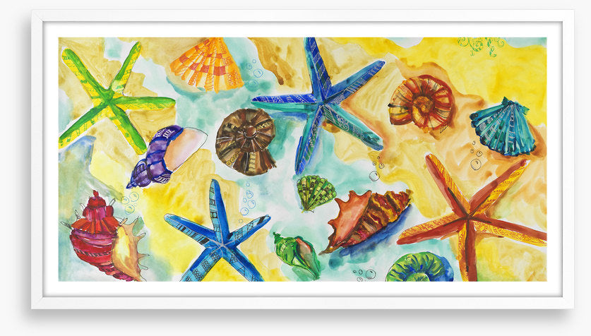 Starry starry shells