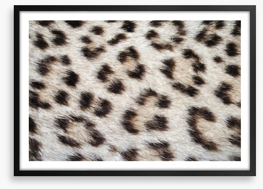 Animal Print