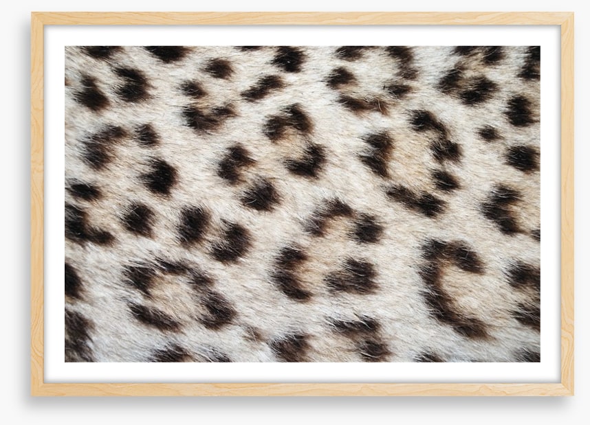 Animal Print