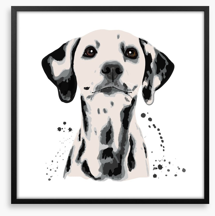 Dots off a dalmatian