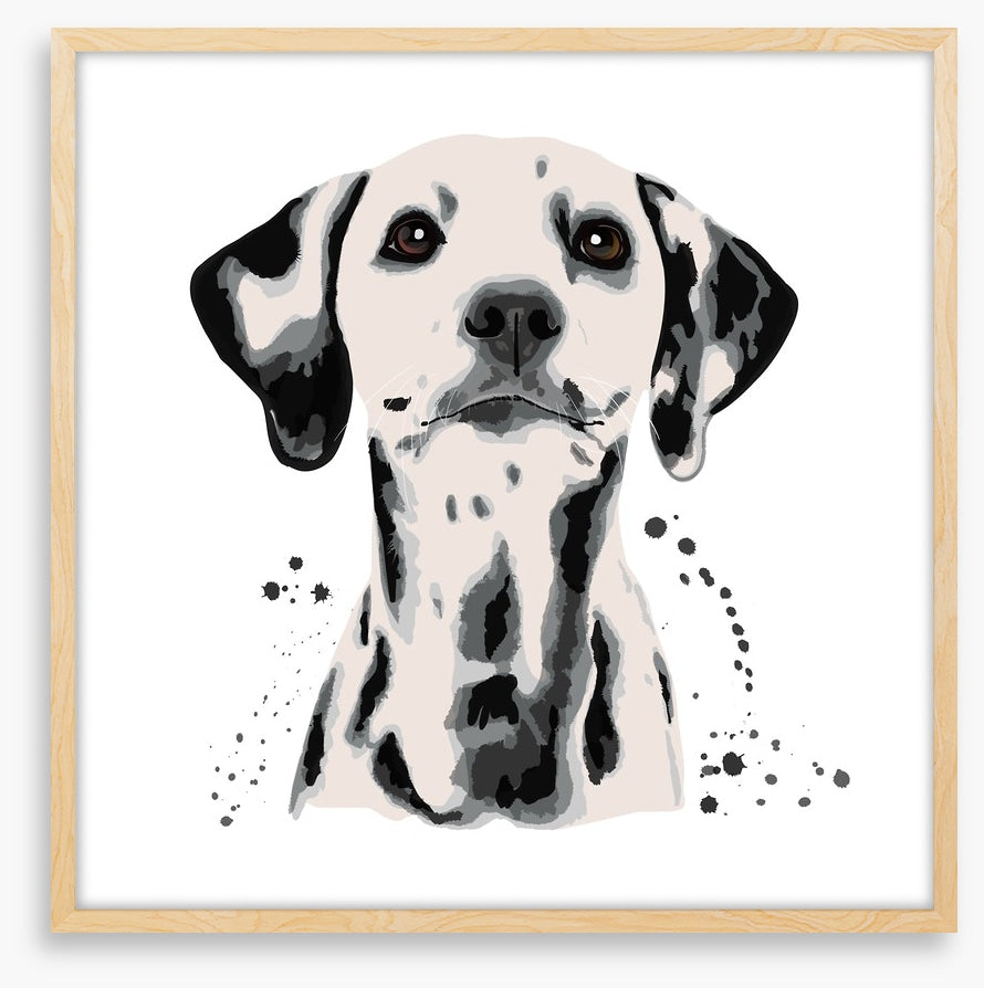 Dots off a dalmatian