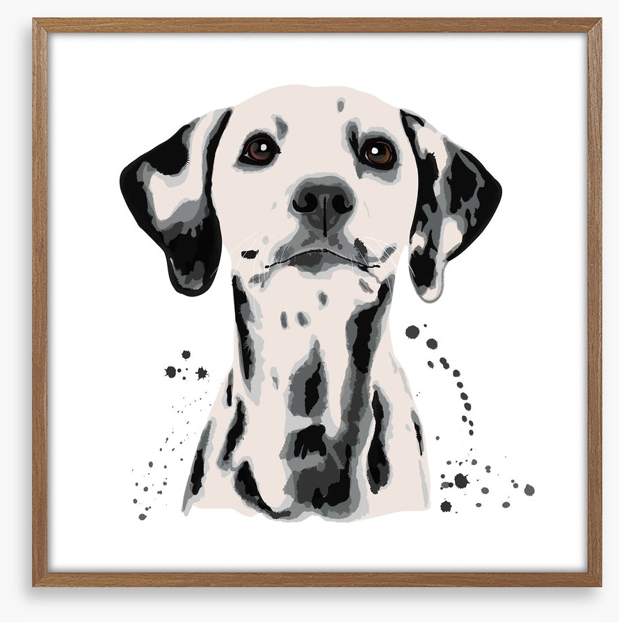 Dots off a dalmatian