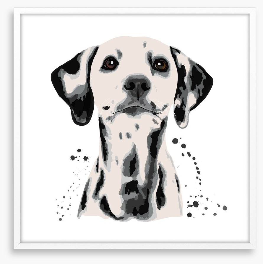 Dots off a dalmatian