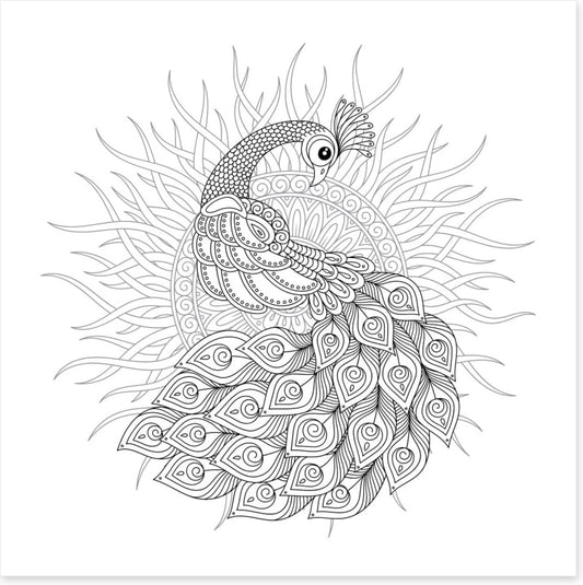 Colour me peacock sun