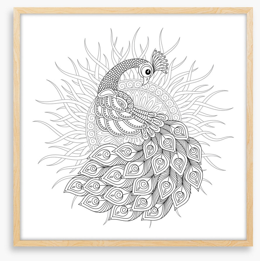 Colour me peacock sun