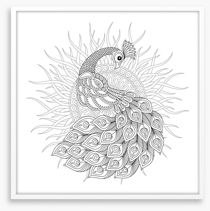 Colour me peacock sun