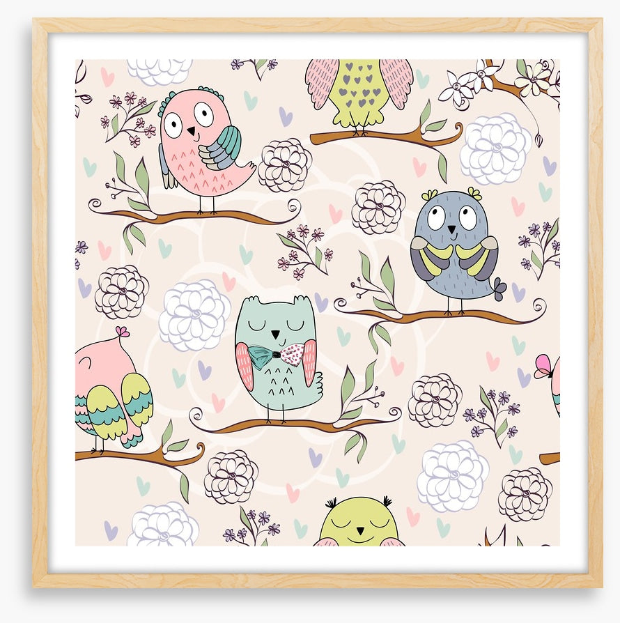 Owls