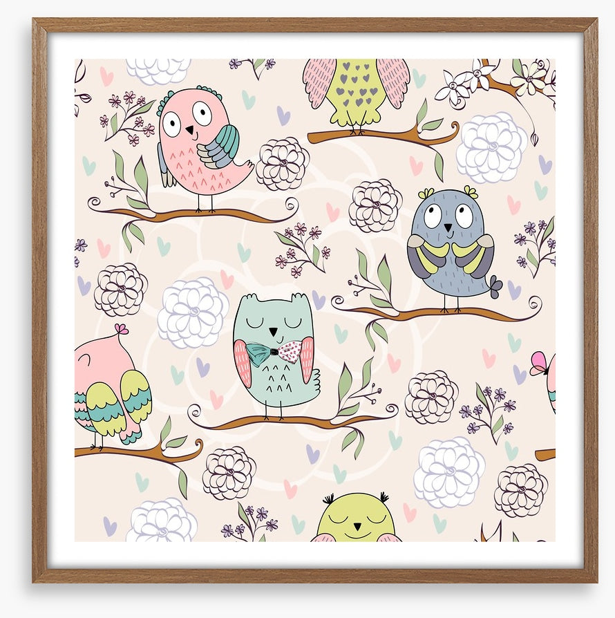 Owls