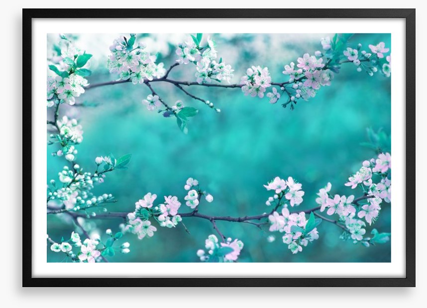 Sakura season