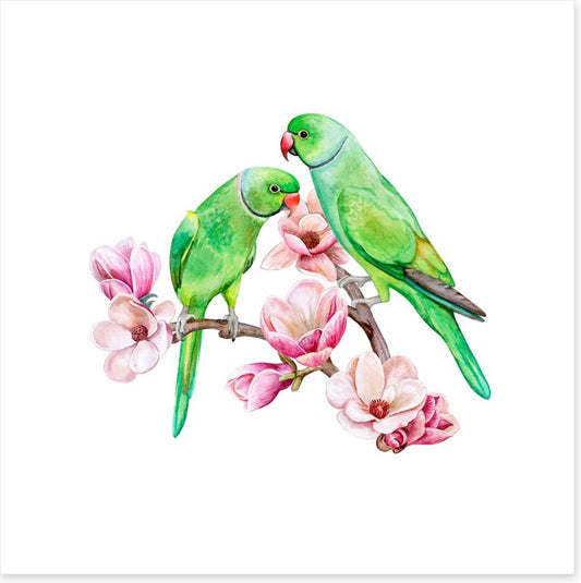 Parakeets in the magnolia