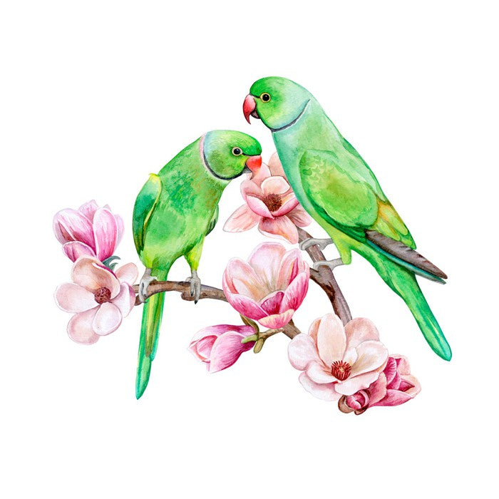 Parakeets in the magnolia