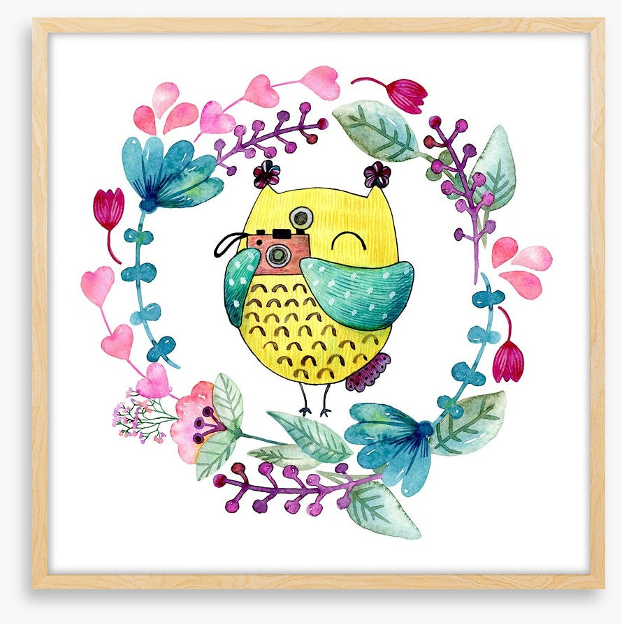 Owls