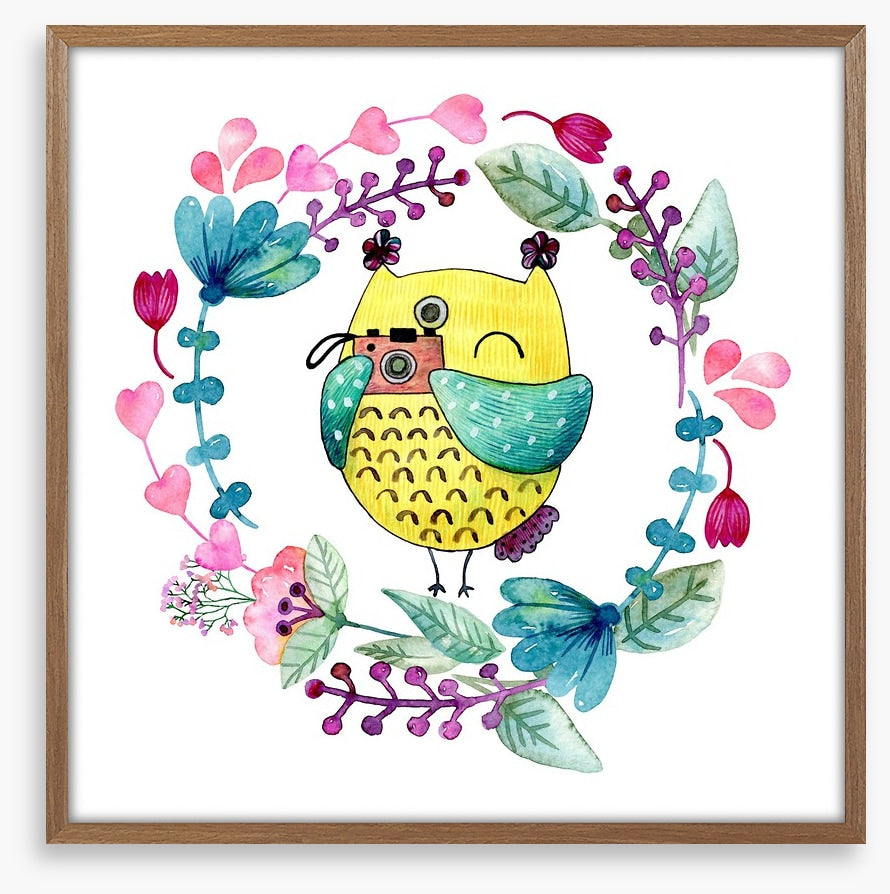 Owls