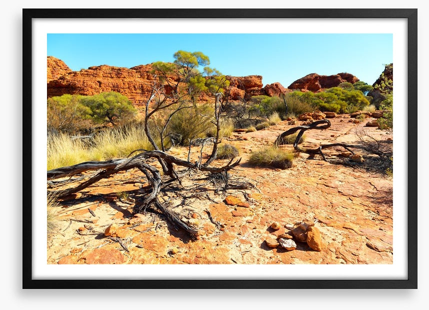Kings Canyon climb