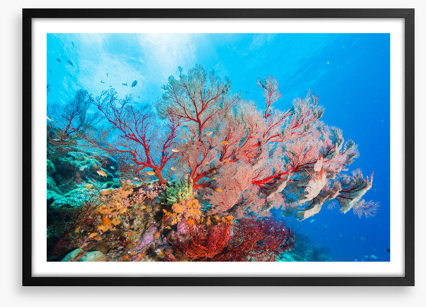 Underwater